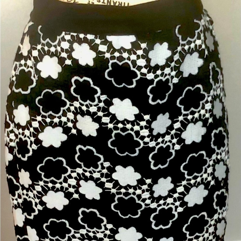 Ann Taylor Embroidered Pencil Skirt Sz 6
